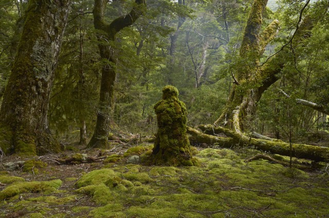 Martin Hill nature Art Installation8