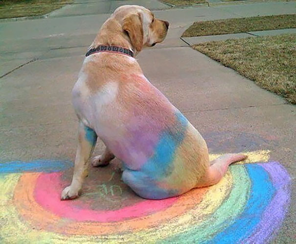 arte por accidente 7
