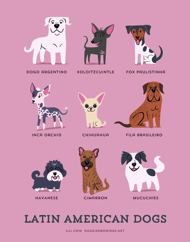 doggiedrawings culturainquieta