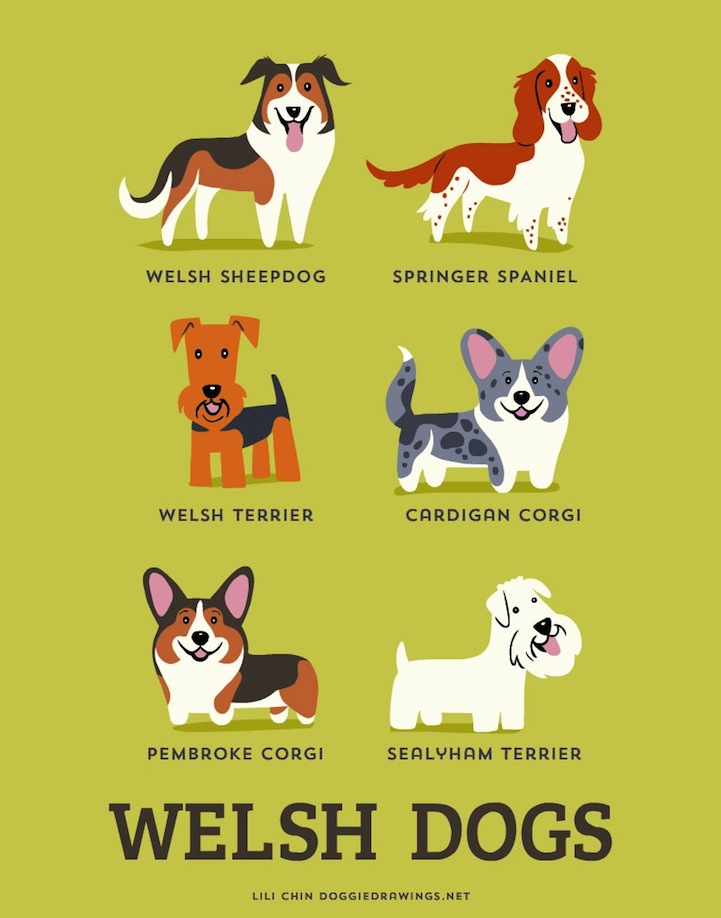 doggiedrawings culturainquieta10