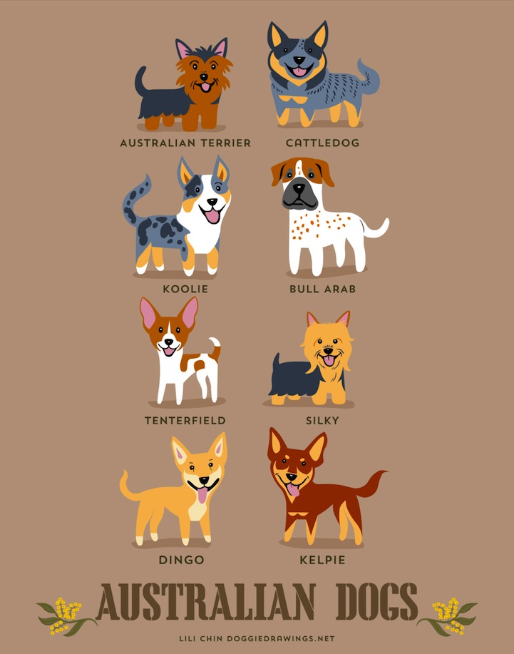 doggiedrawings culturainquieta3