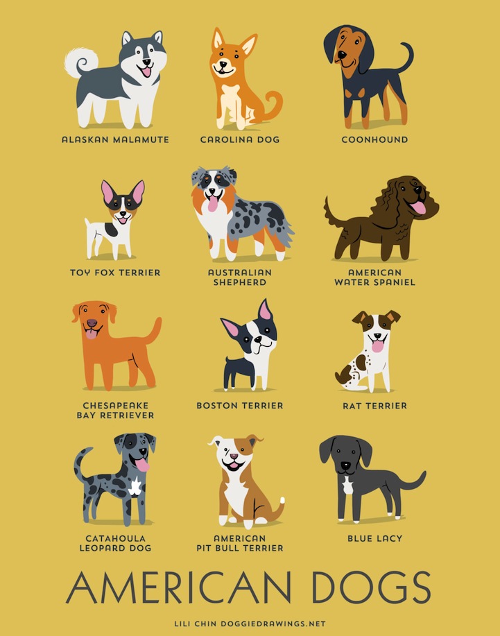 doggiedrawings culturainquieta5