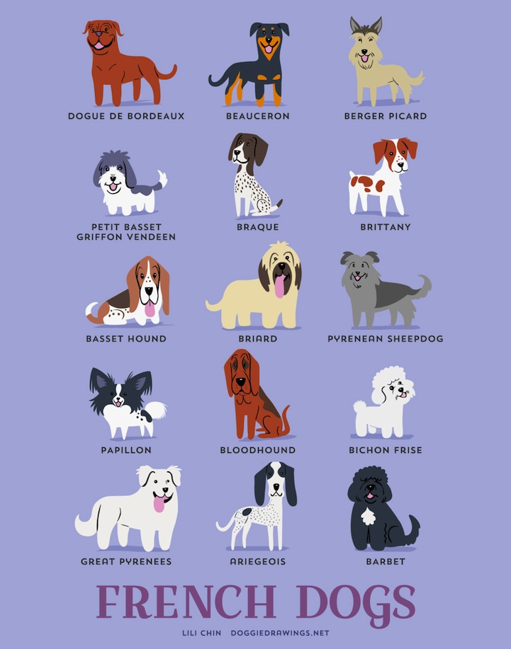 doggiedrawings culturainquieta6