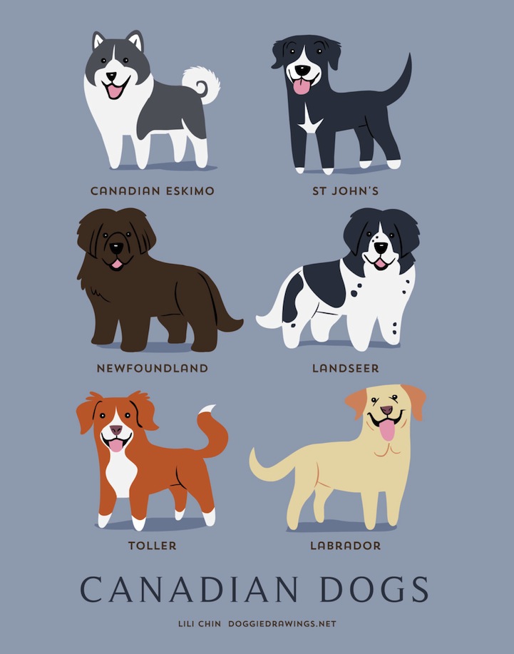 doggiedrawings culturainquieta8