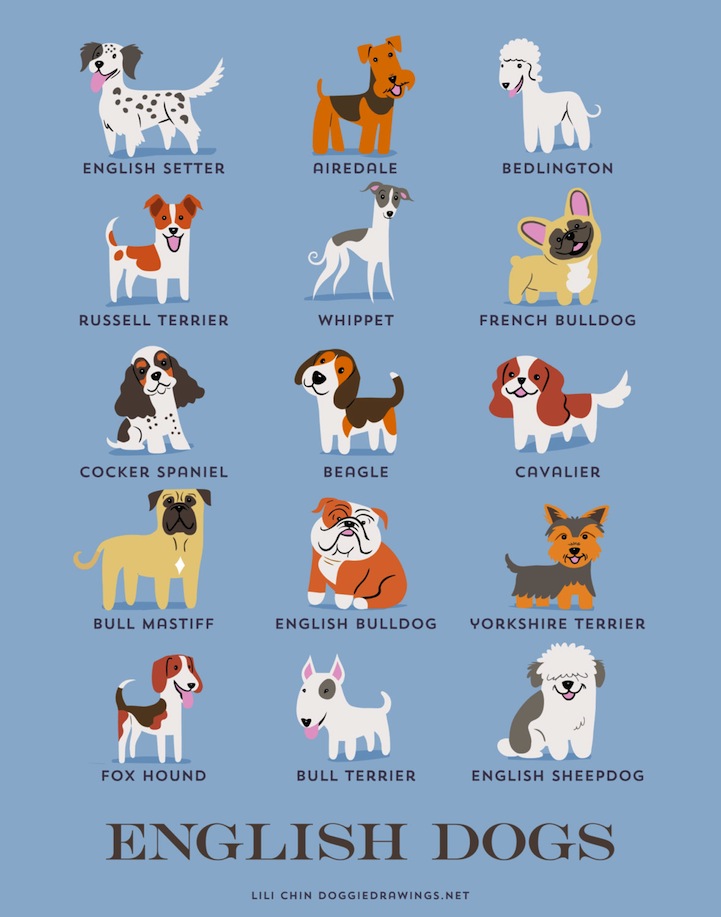 doggiedrawings culturainquieta9