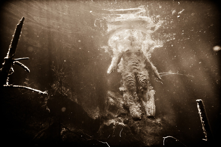 Neil Craver underwater erotica4