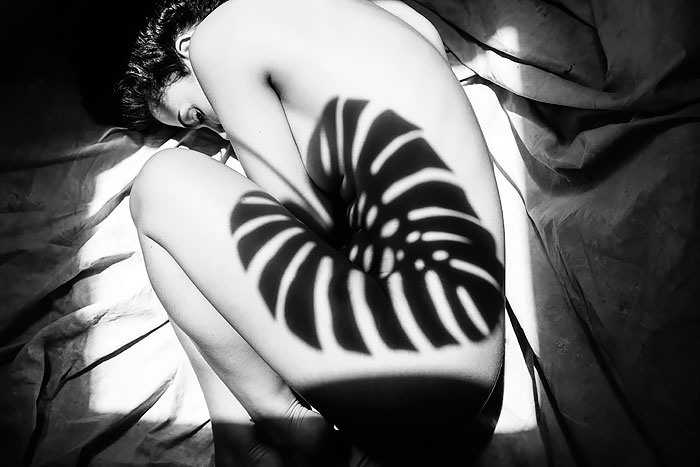 SHADOWS culturainquieta