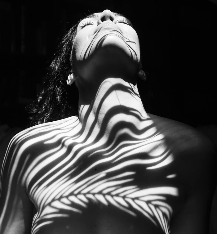 SHADOWS culturainquieta7