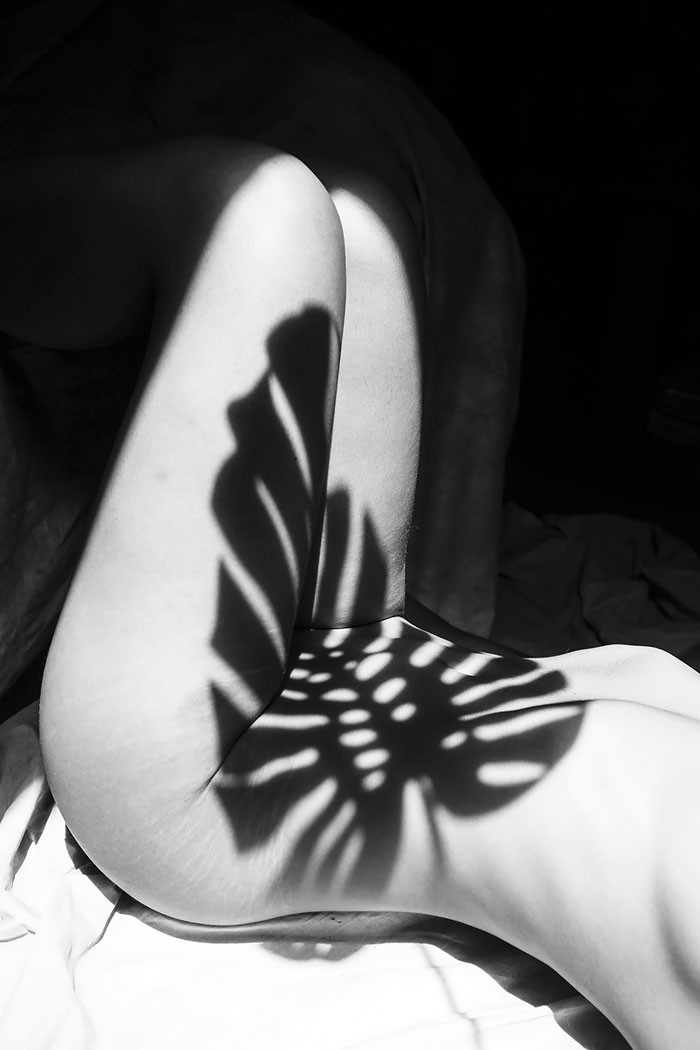 SHADOWS culturainquieta8
