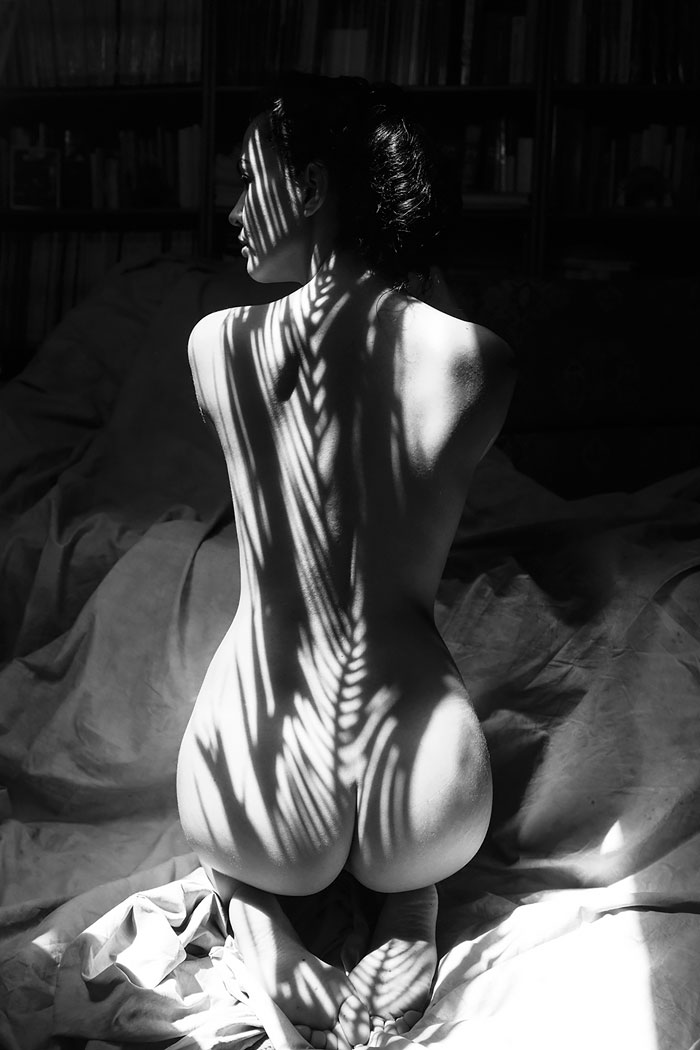 SHADOWS culturainquieta9