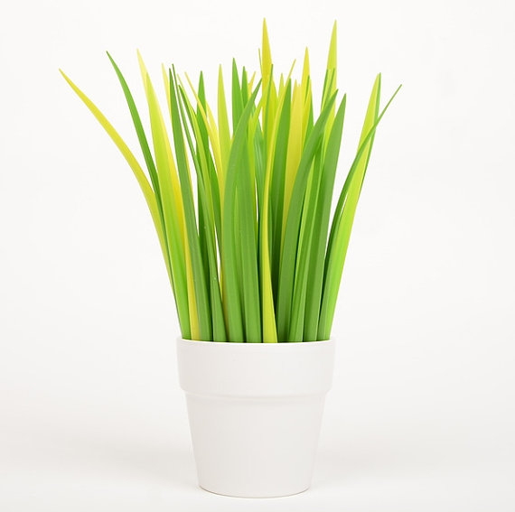 boligrafos plantas hierba 2