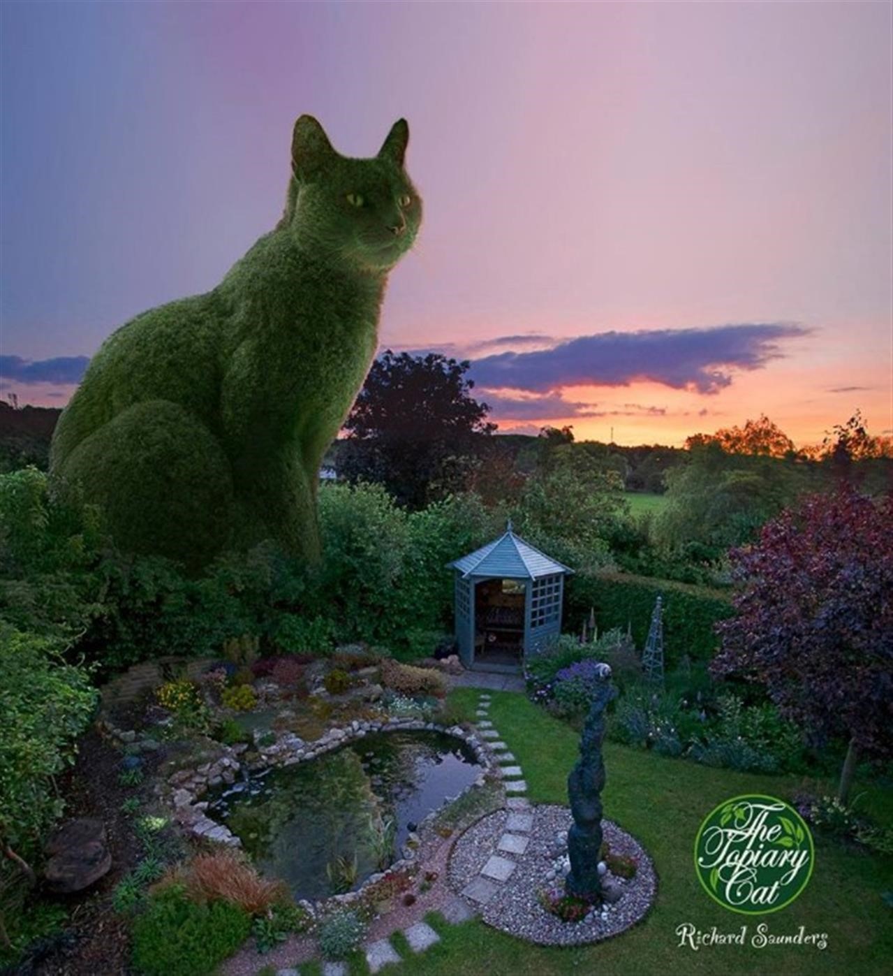 cat culturainquieta4