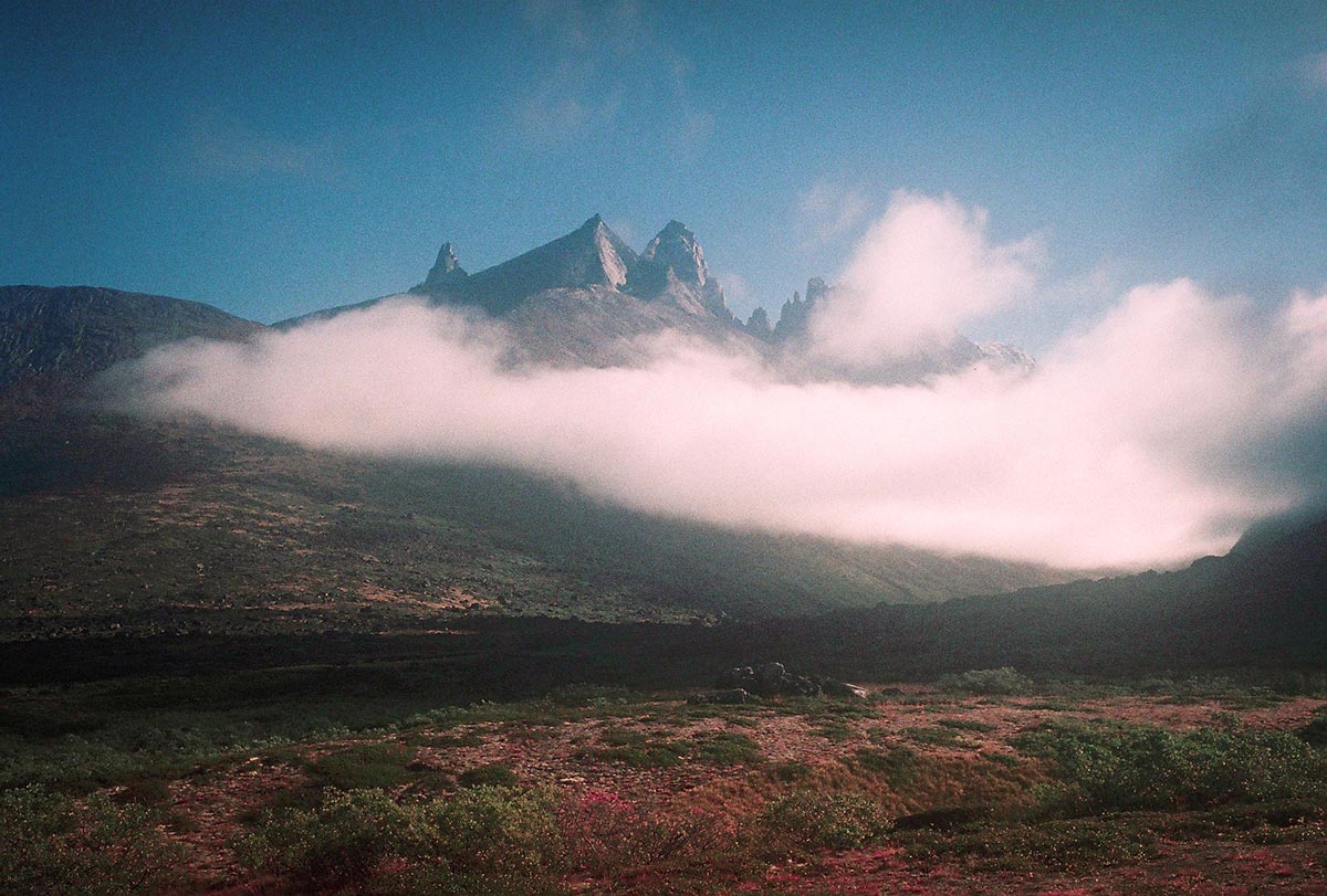 greeland culturainquieta6