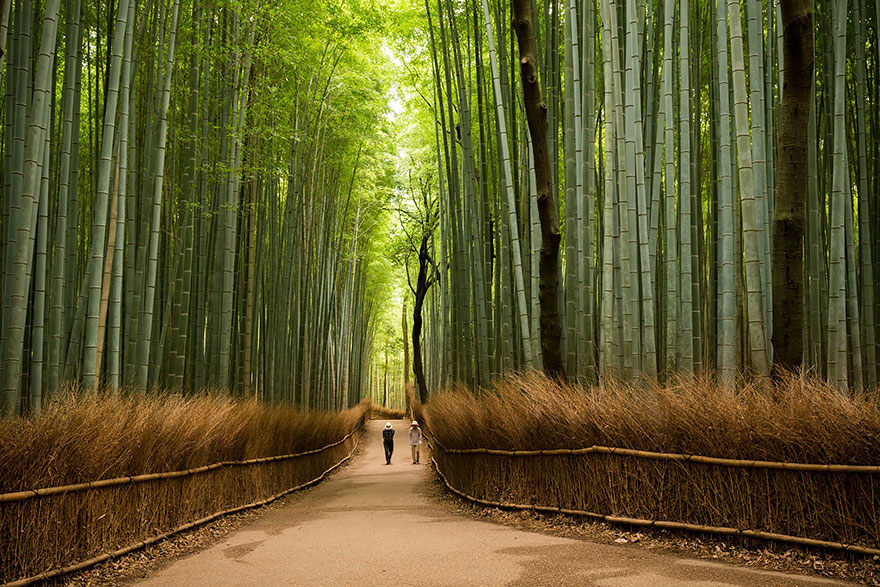 japon culturainquieta