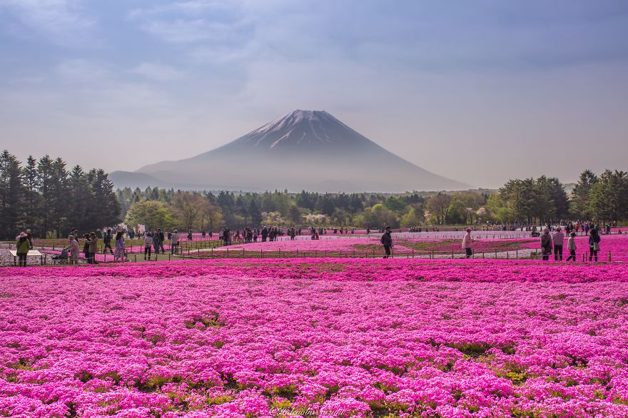 japon culturainquieta1