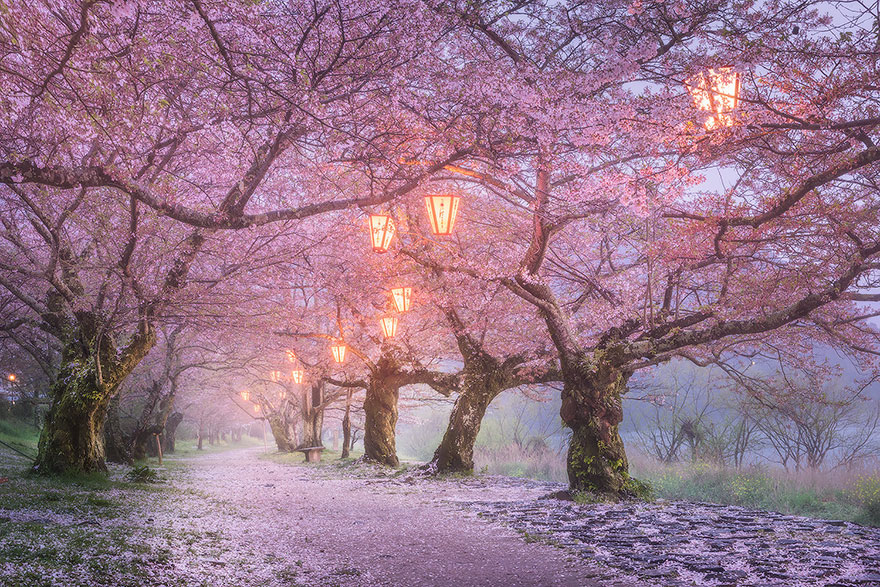 japon culturainquieta12