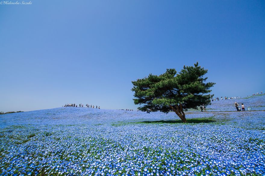 japon culturainquieta3