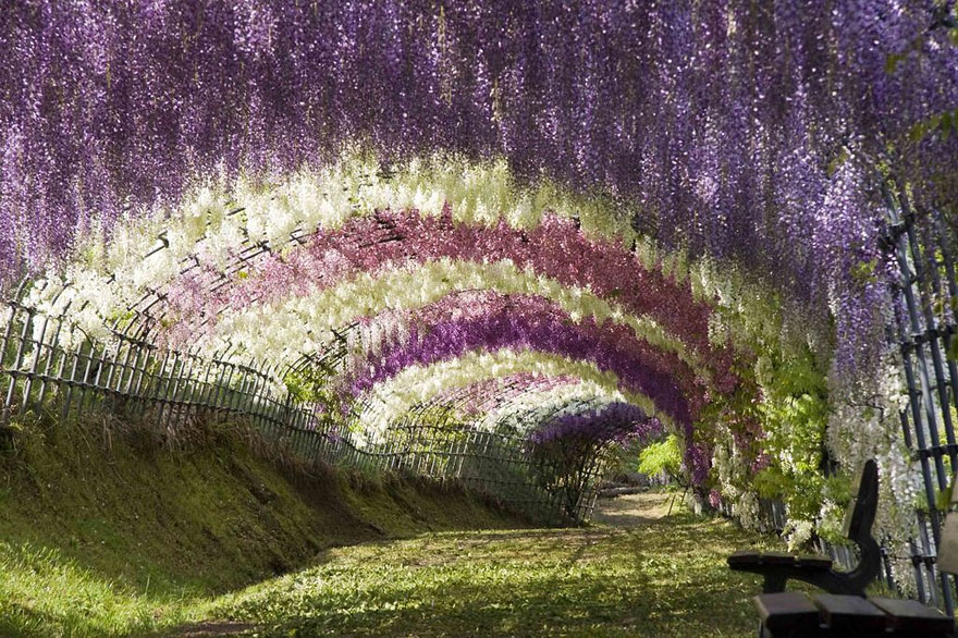 japon culturainquieta5
