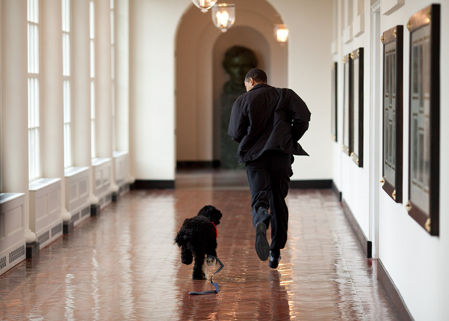 obama culturainquieta7