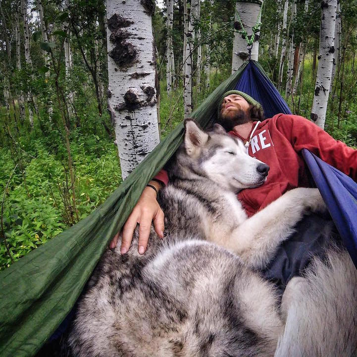 wolf culturainquieta