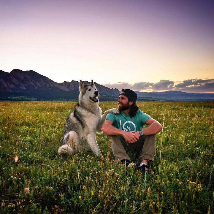 wolf culturainquieta6