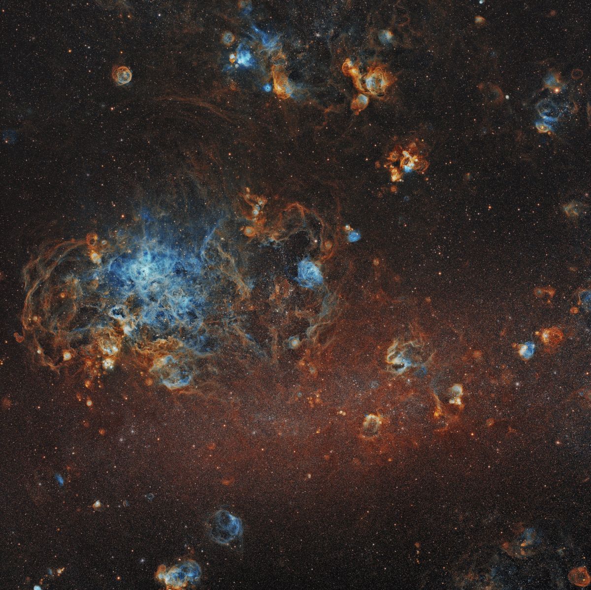 astro culturainquieta7