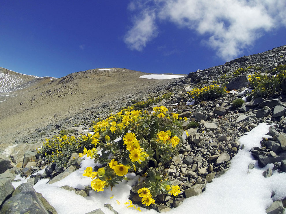 newzeland culturainquieta14