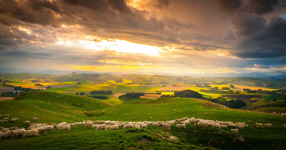 newzeland culturainquieta16