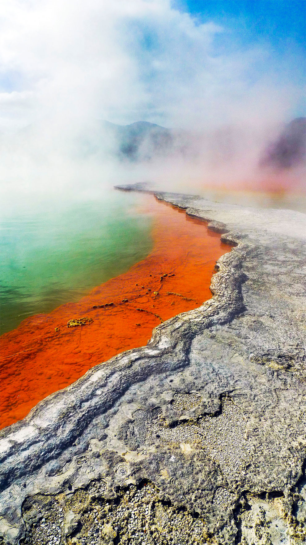 newzeland culturainquieta9