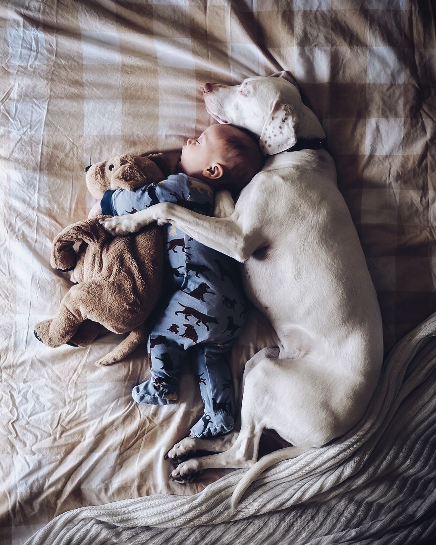puppy culturainquieta