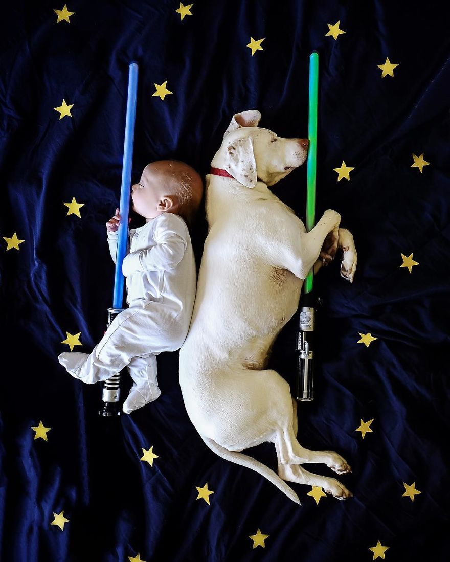 puppy culturainquieta1