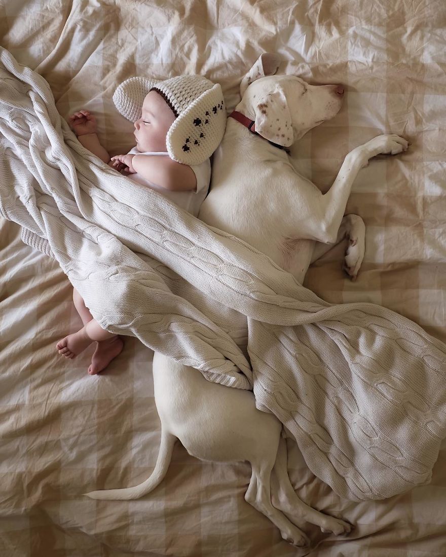 puppy culturainquieta6