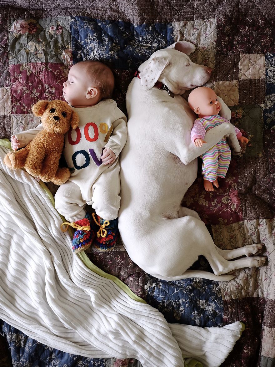 puppy culturainquieta8
