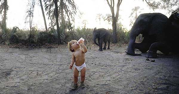 Tippi Degre nina salvaje selva