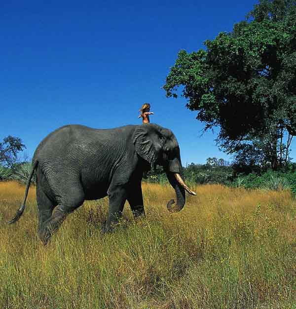 Tippi Degre nina salvaje selva 14