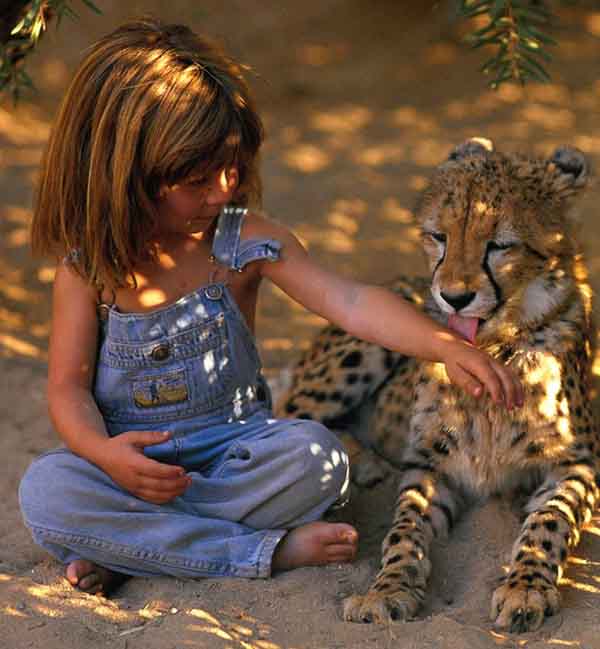 Tippi Degre nina salvaje selva 2