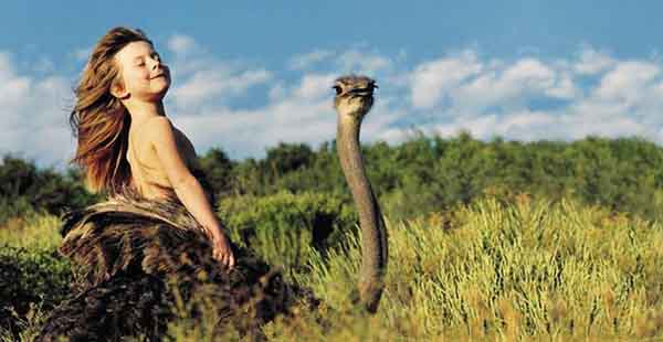 Tippi Degre nina salvaje selva 3