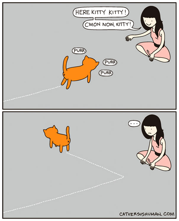 funny cat comics culturainquieta