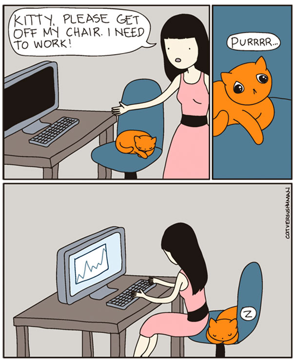 funny cat comics culturainquieta11