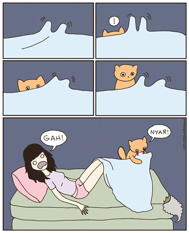 funny cat comics culturainquieta13