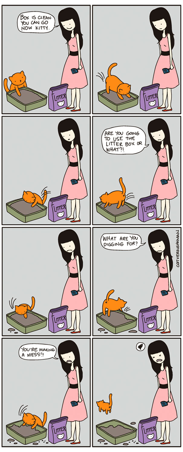 funny cat comics culturainquieta14