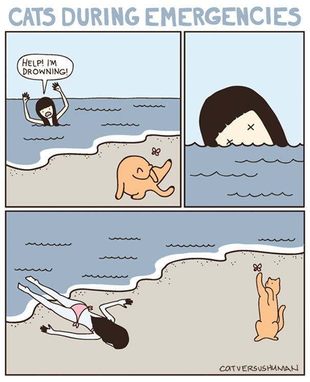 funny cat comics culturainquieta3