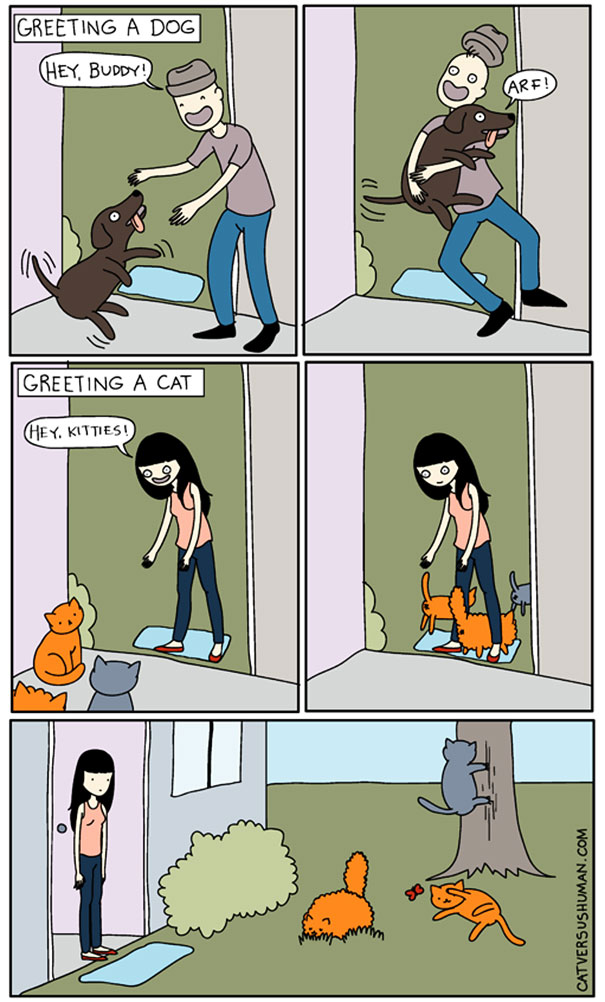funny cat comics culturainquieta5