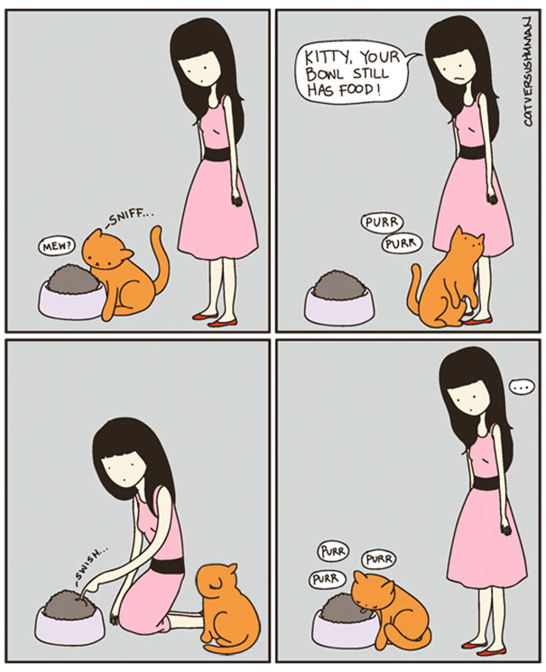 funny cat comics culturainquieta6