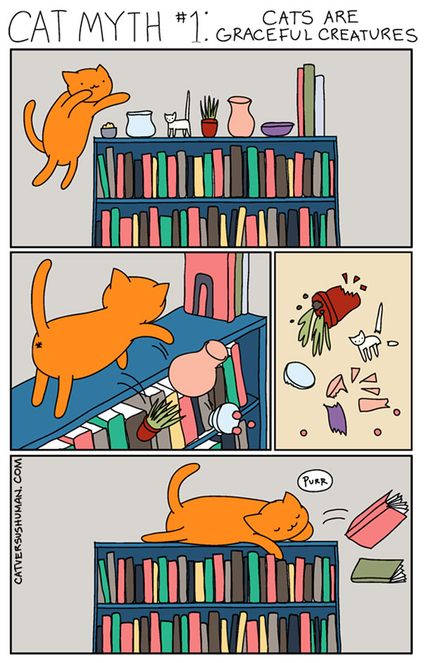 funny cat comics culturainquieta7