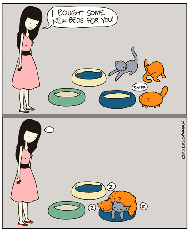 funny cat comics culturainquieta9