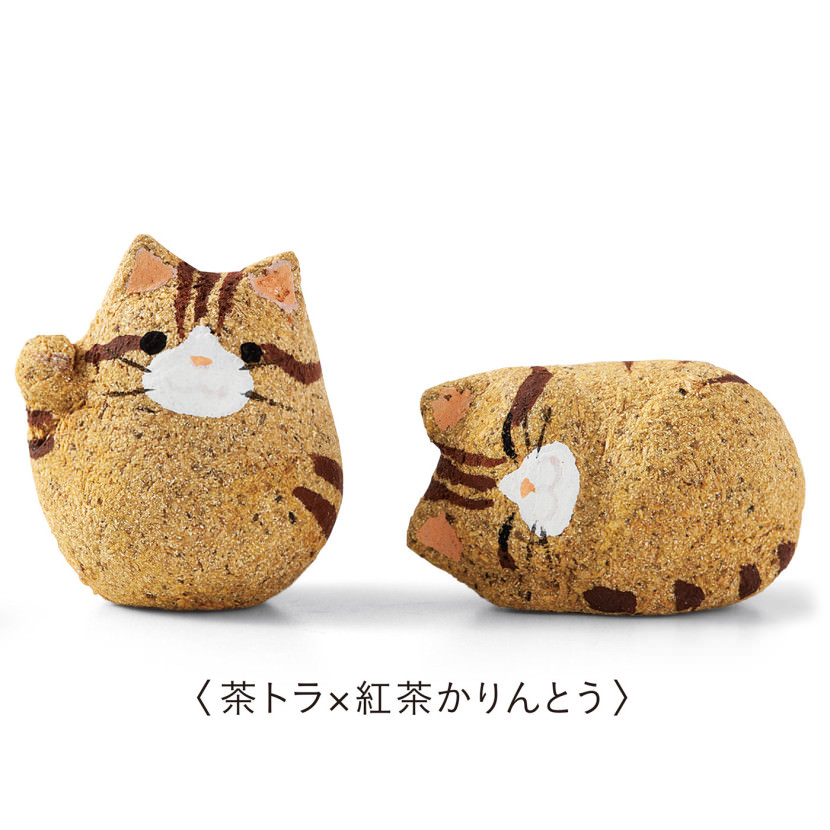 galletas de la fortuna gatos japon 7