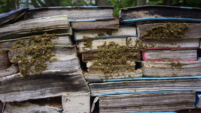 jardin de la connaissance libros viajos 4