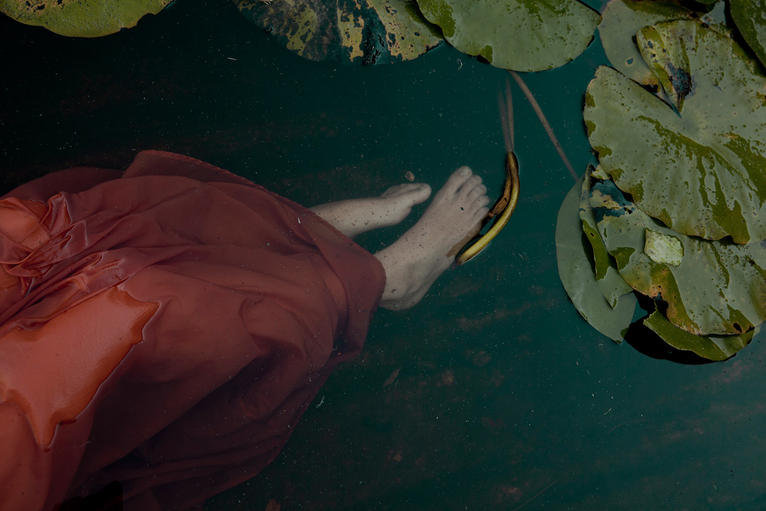 Fotografías de Monia Merlo