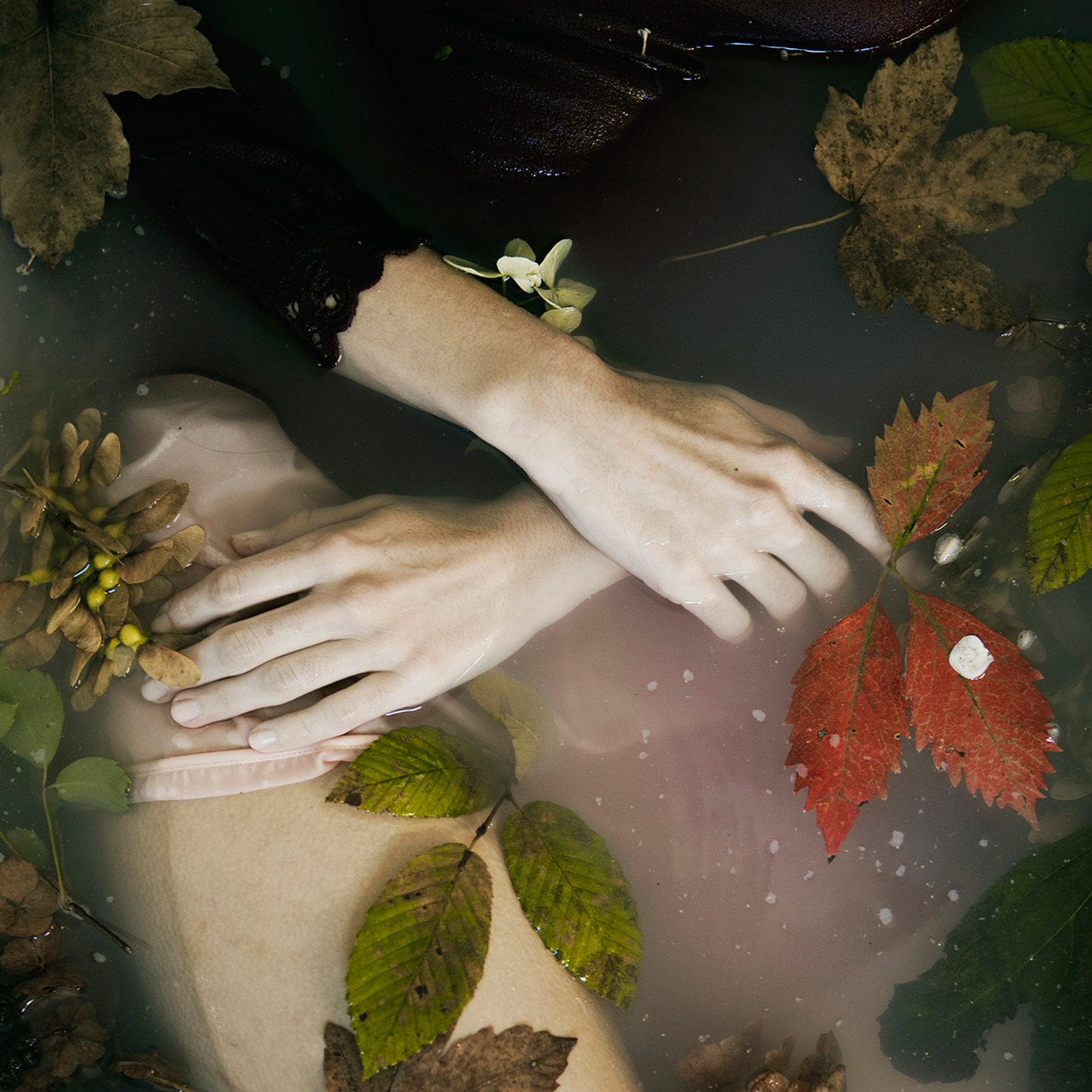 Fotografías de Monia Merlo